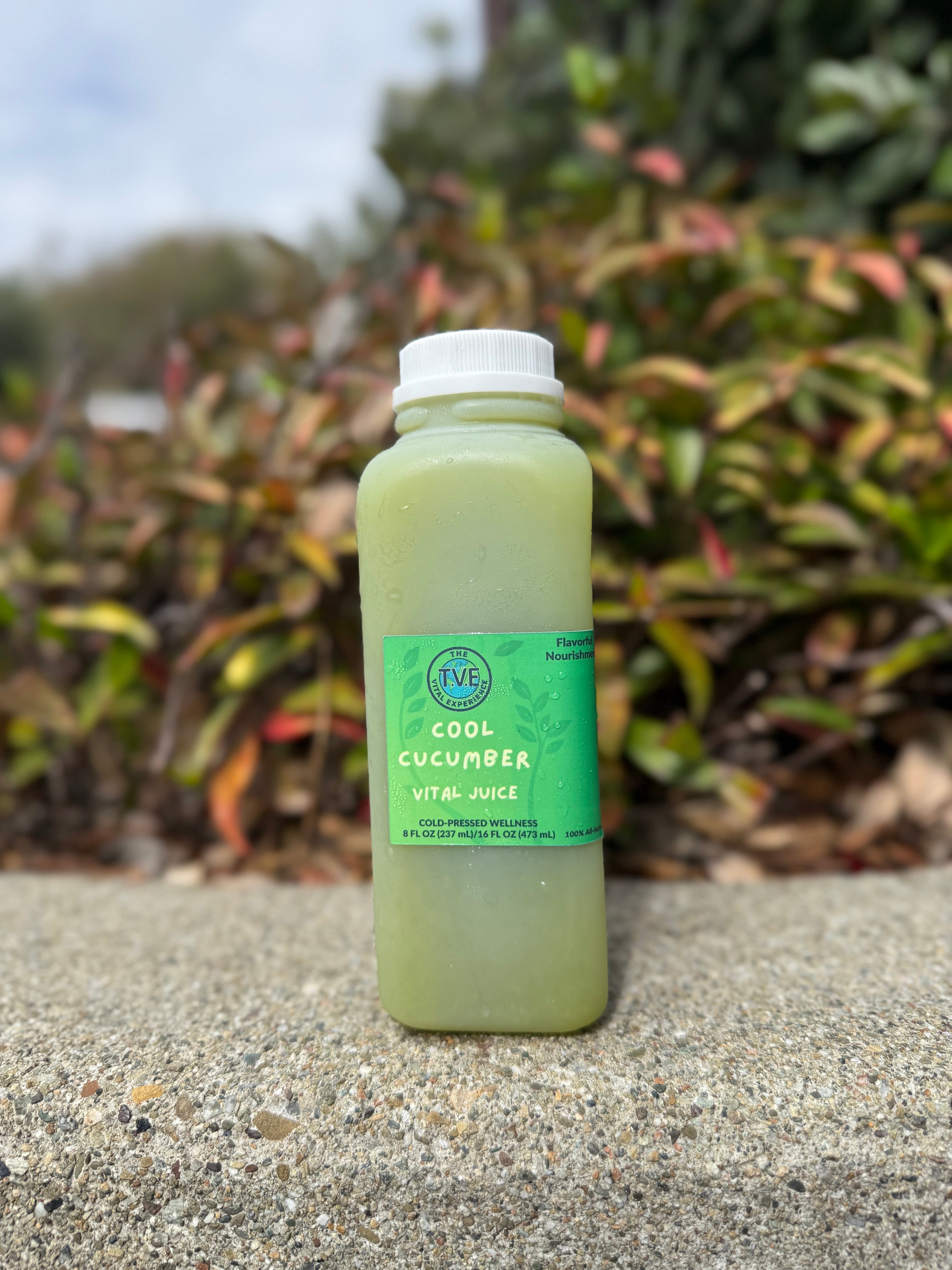 Cool Cucumber 🥒 — Cucumber, Celery, Apple, Sea Moss