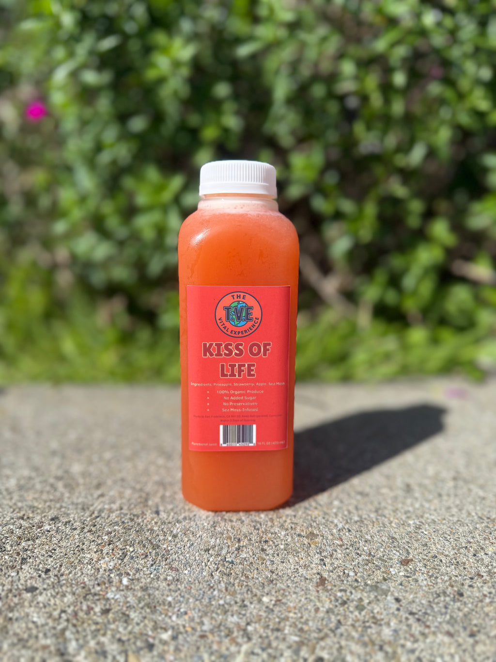 3-Pack Hydration