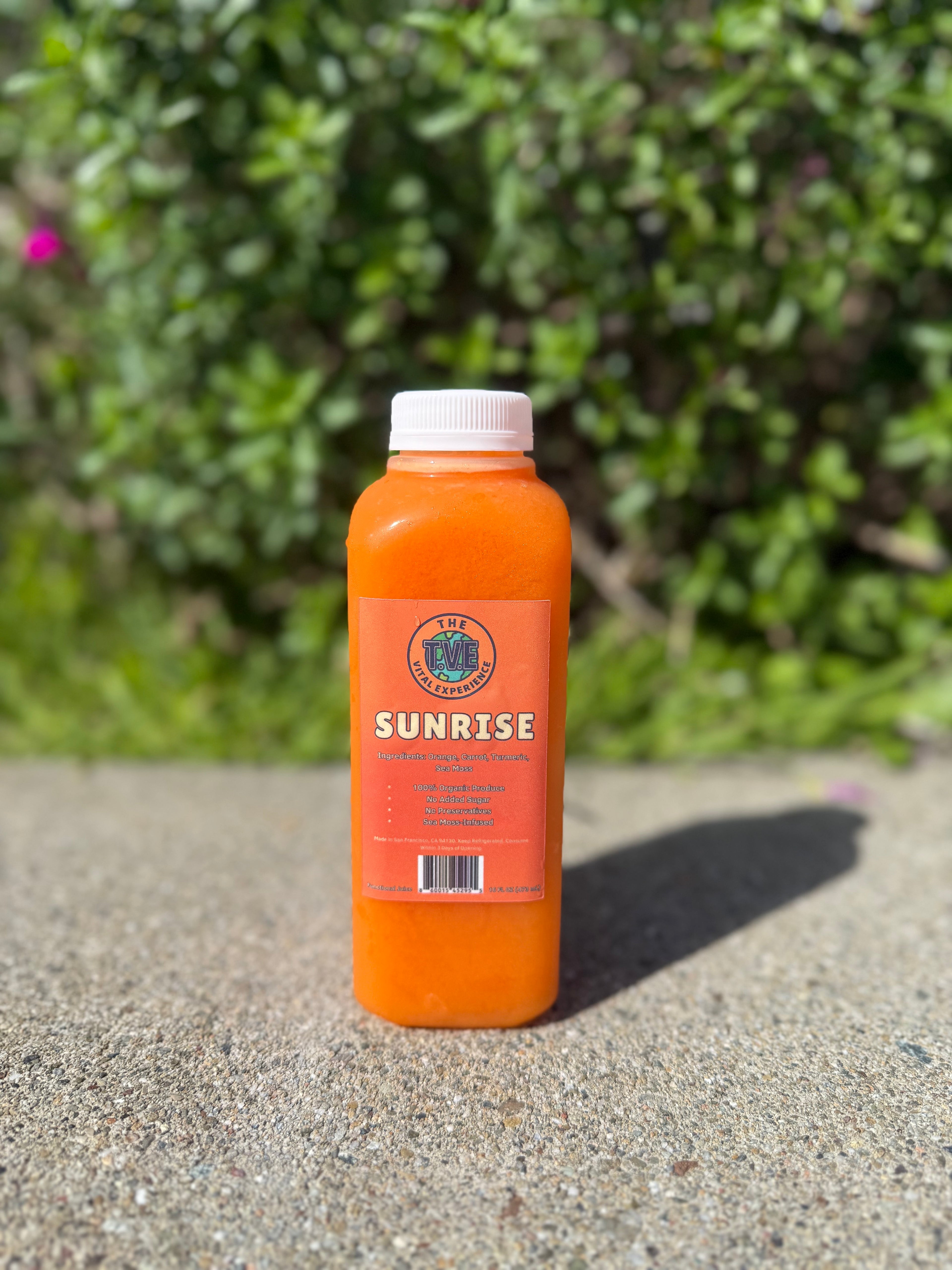 Starter Hydration Pack