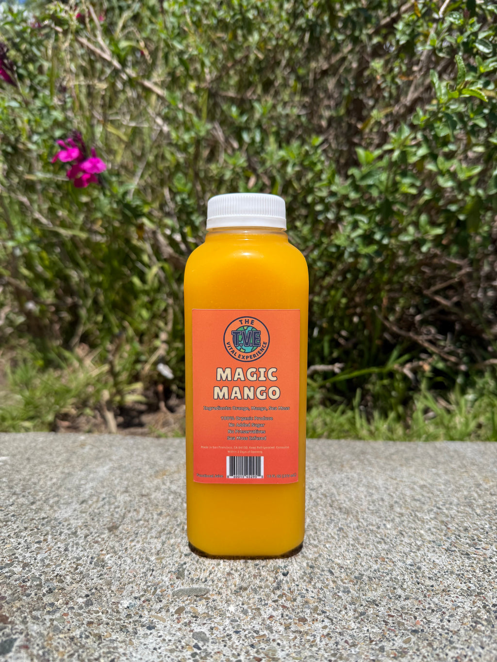 3-Day Vital Reset
